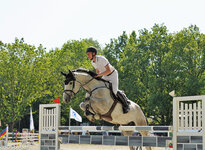 Concours Hippique Concours Hippique