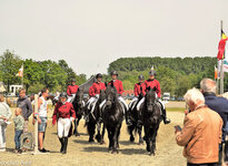 Concours Hippique