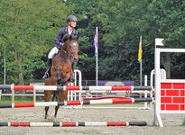 Concours Hippique Concours Hippique