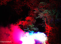 Halloween Halloween
