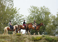 Paardenvrienden bij RES Paardenvrienden bij RES
