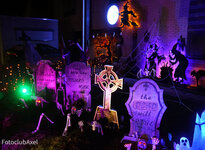 Trick or Treat Trick or Treat